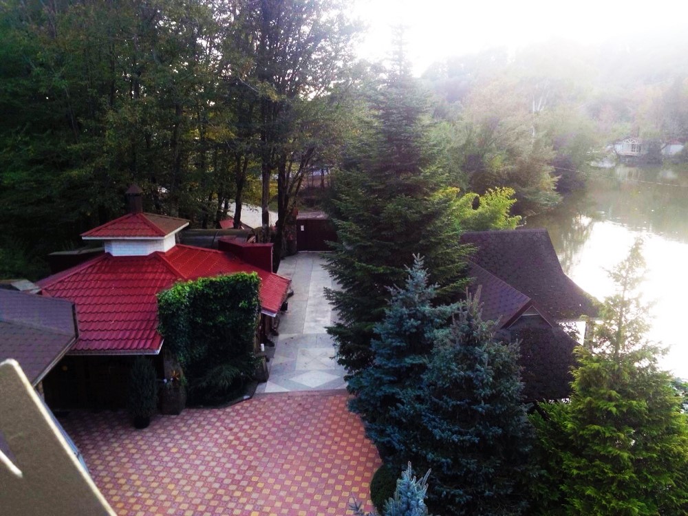 Декоративные деревья