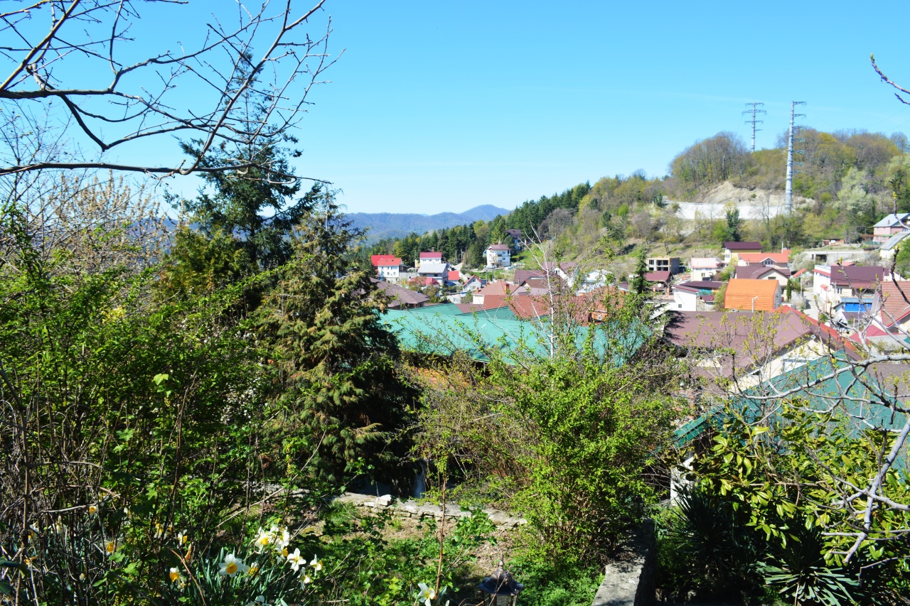 Панорама гор